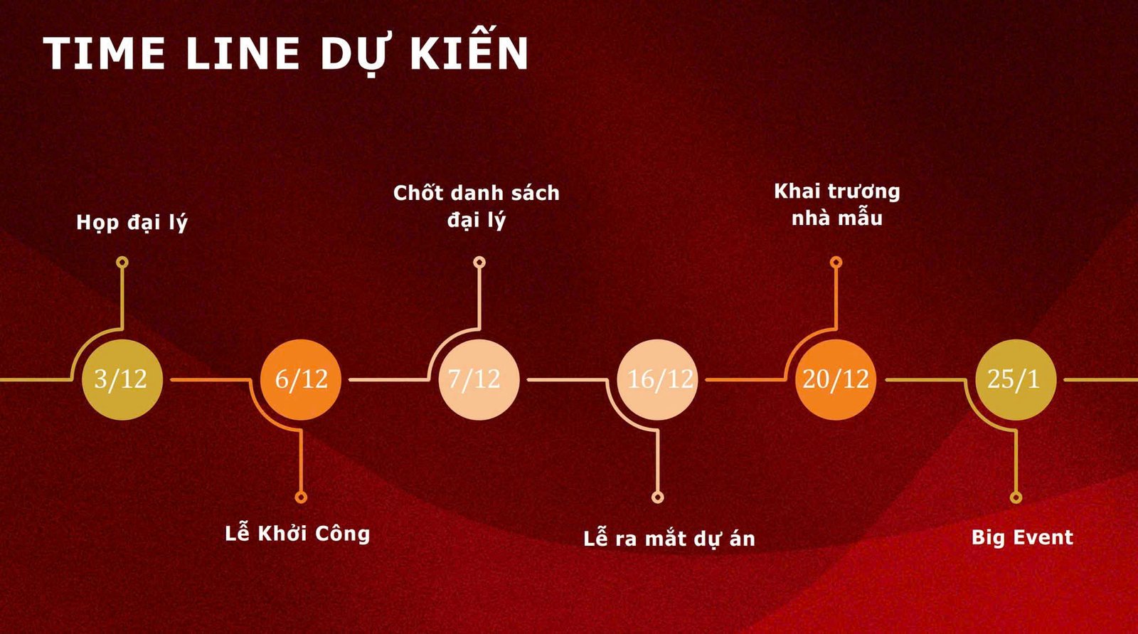 Saint Mary Light Bến Cát Bình Dương Chính Thức Mở Bán 2 Timeline du an